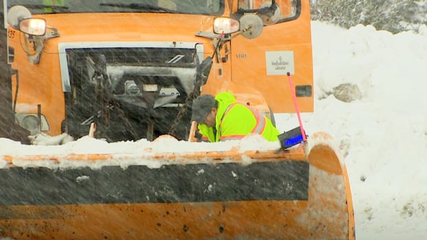 Get your storm chips! Another winter storm is on its way to eastern Newfoundland