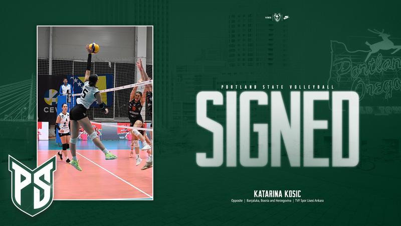 Vikings Sign International Opposite Hitter Katarina Kosic from Bosnia and Herzegovina
