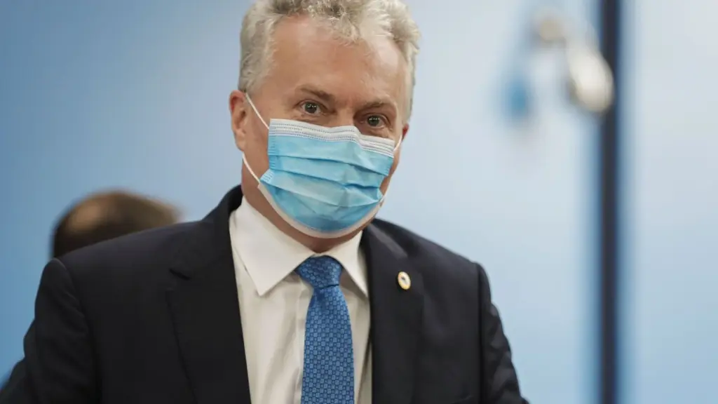 Lithuanian President hospitalized after domestic injury Photo