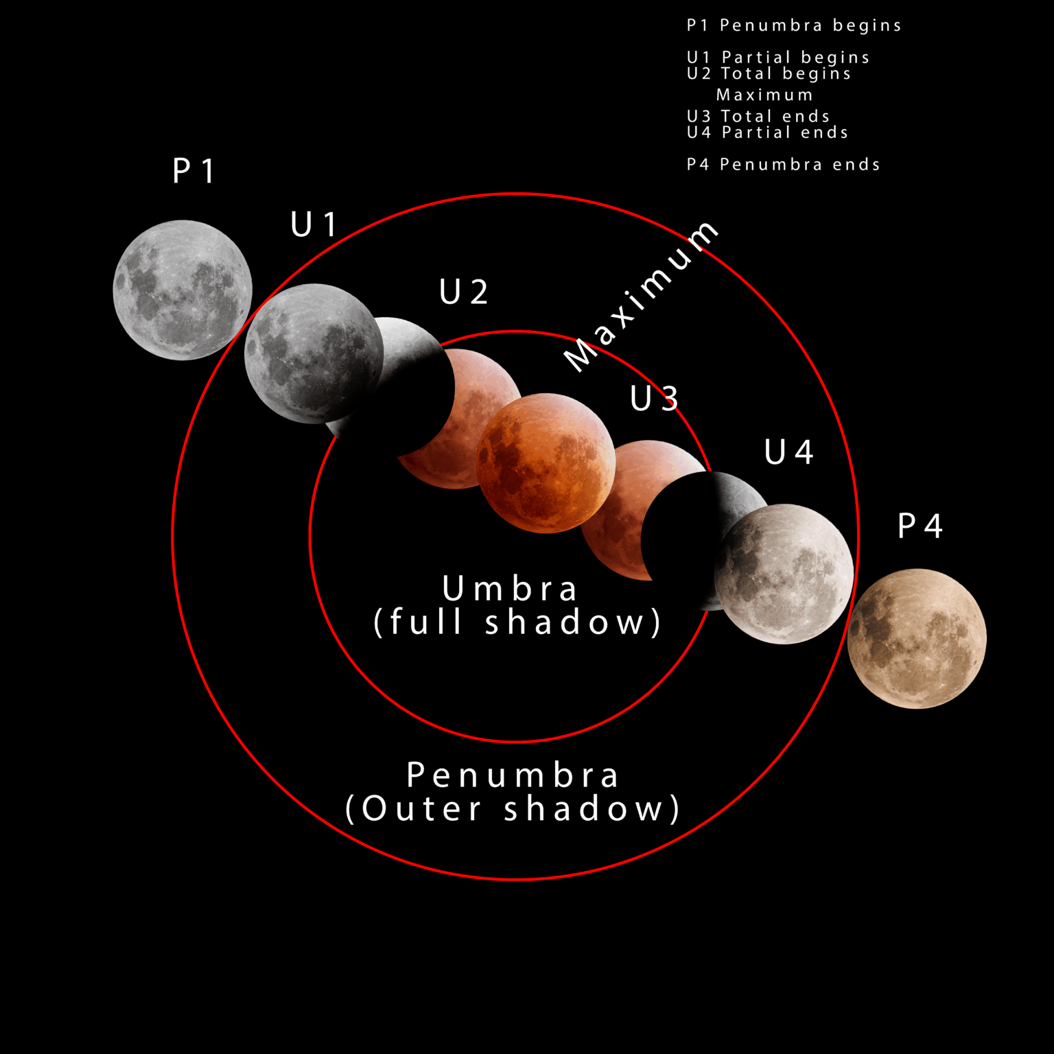 You've probably heard about the eclipse next week?  (Tuesday 3rd March)