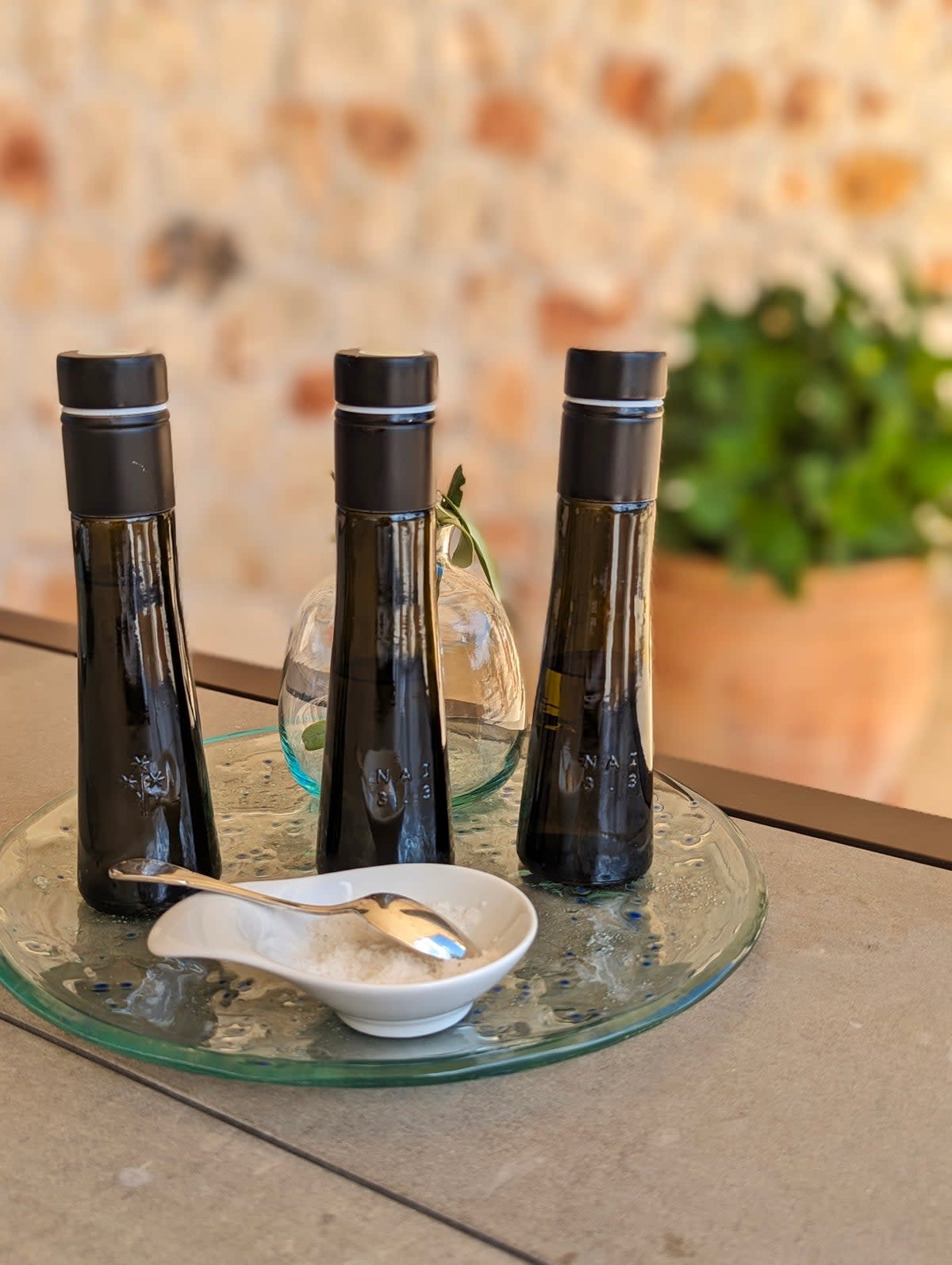 Not all extra virgin olive oils are created equal, as tasting through Croatian producers quickly makes clear (Amira Arasteh)