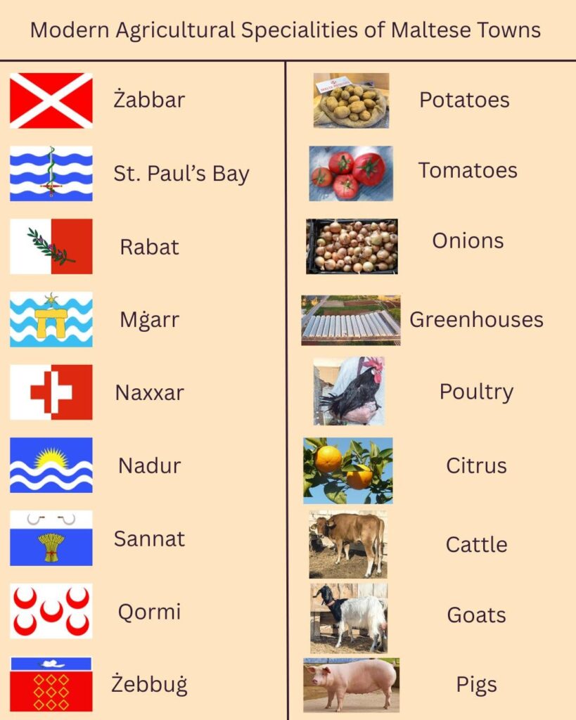 Agricultural Specialities of Maltese Towns