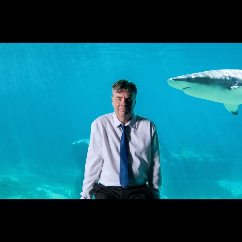 Shark shake-up | Bond University
