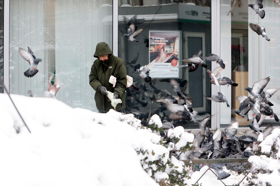 Severe cold triggers Code Yellow in Romania-Xinhua