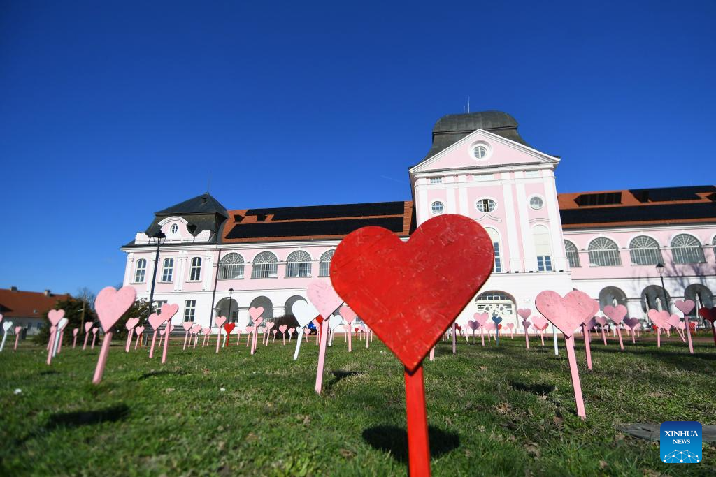 Month of love celebrated in Virovitica, Croatia-Xinhua