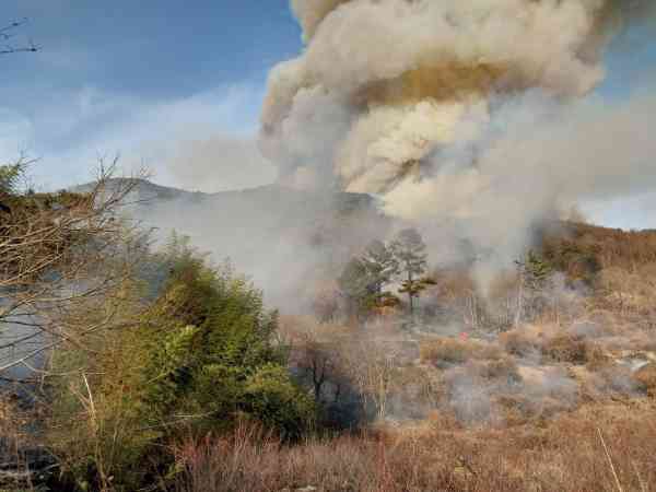 Level 1 Response Posture Activated for Wildfire in Miryang