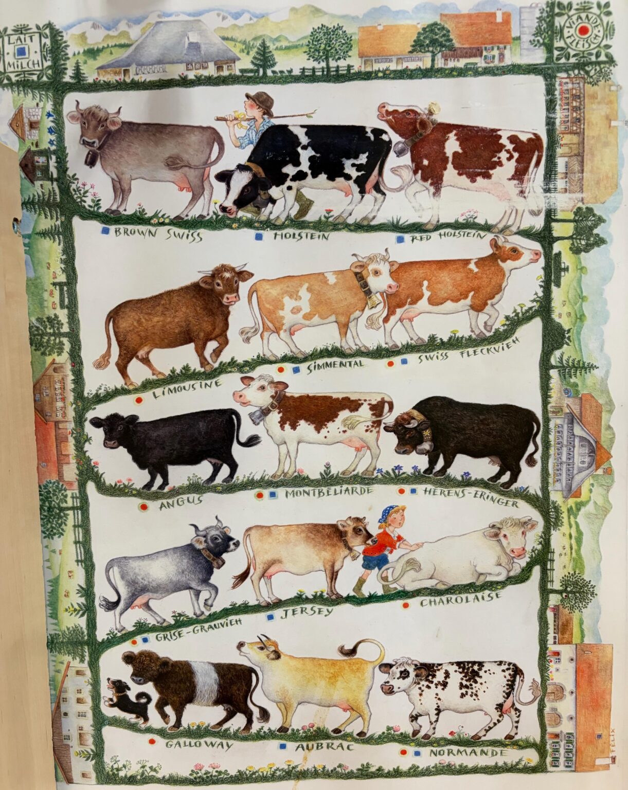 A very Swiss poster