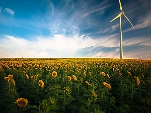 ESG News regarding industry pushback on weakening CBAM, Dcycle acquiring ESG-X, BNP Paribas meeting sustainability goals, US energy secretary to visit Venezuela