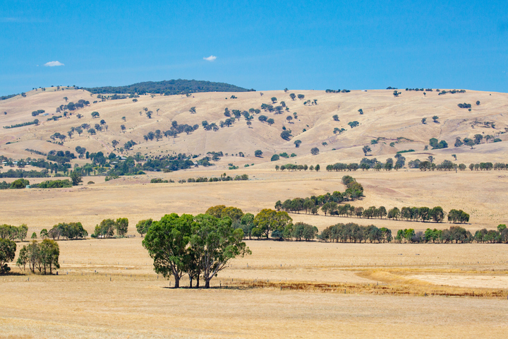 Southeastern Australia's driest January in 17 years