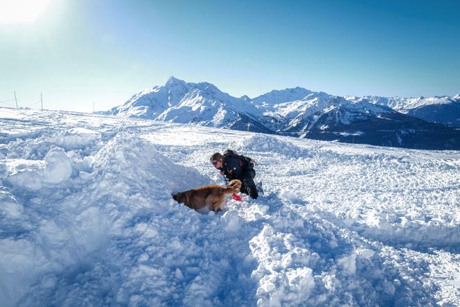 An avalanche rescue dog and a rescuer take part in a search and rescue drill at the La Rosière ski resort in Savoie on February 4, 2025.