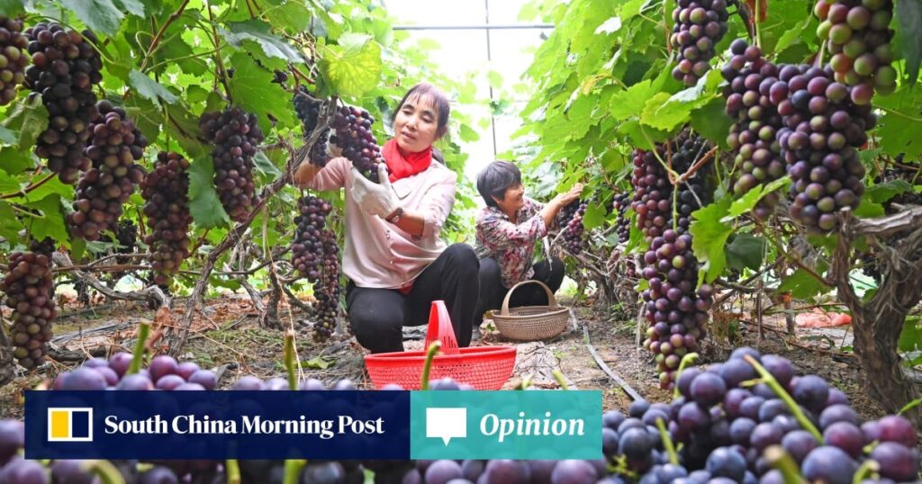 Opinion | China seeks to cultivate a food supply immune to geopolitical shocks