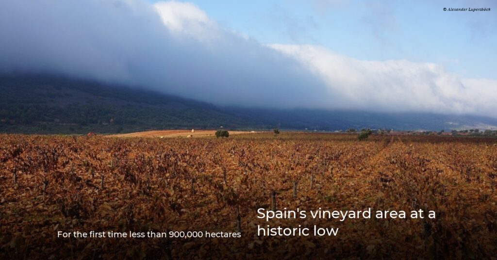 Spain's vineyard area at a historic low