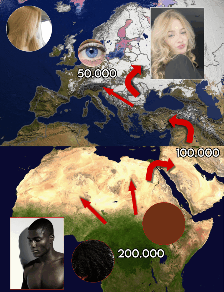 Apparently Norwegians got blonde and blue eyes because of the cold according to OP