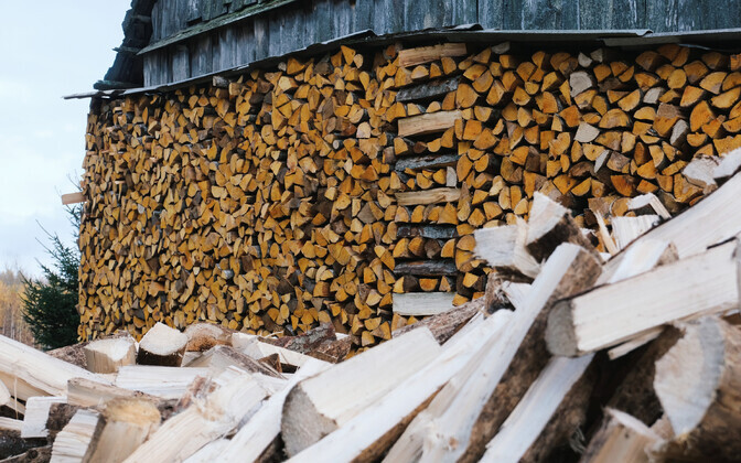 Dry firewood in Estonia all sold out as deep winter freeze continues | News Dry firewood in Estonia all sold out as deep winter freeze continues | News