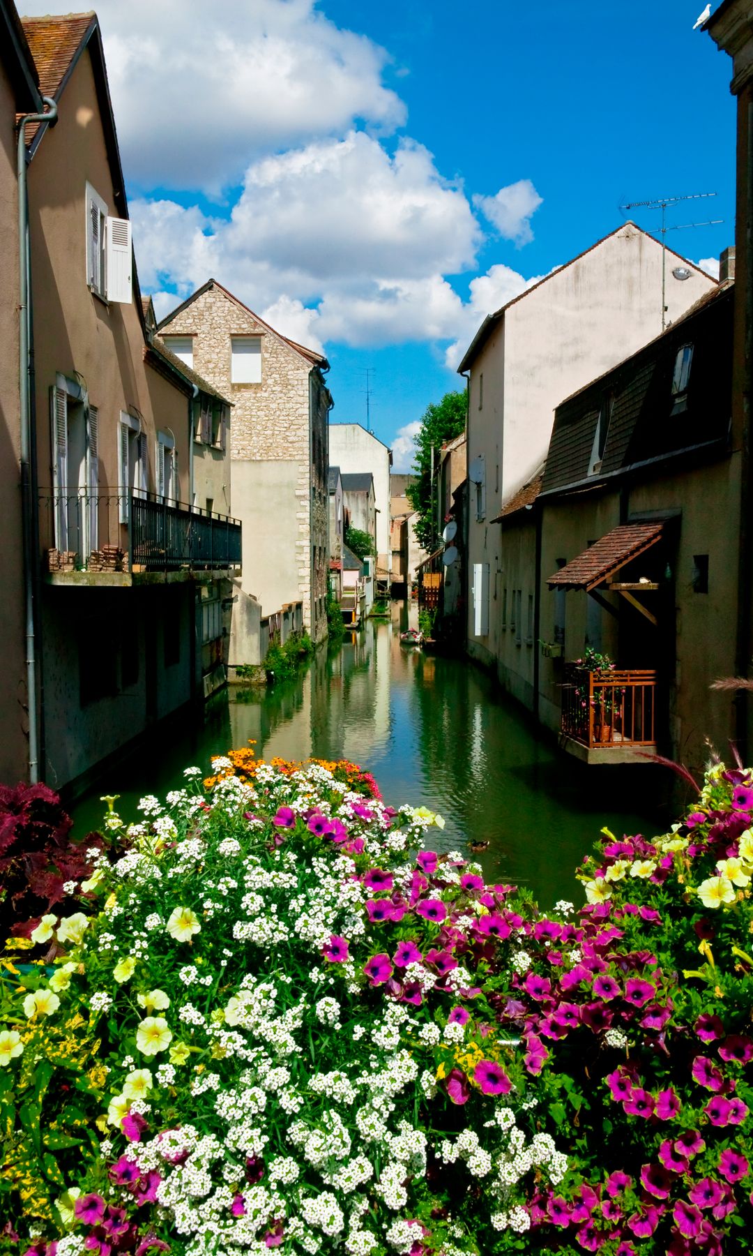 MONTARGIS