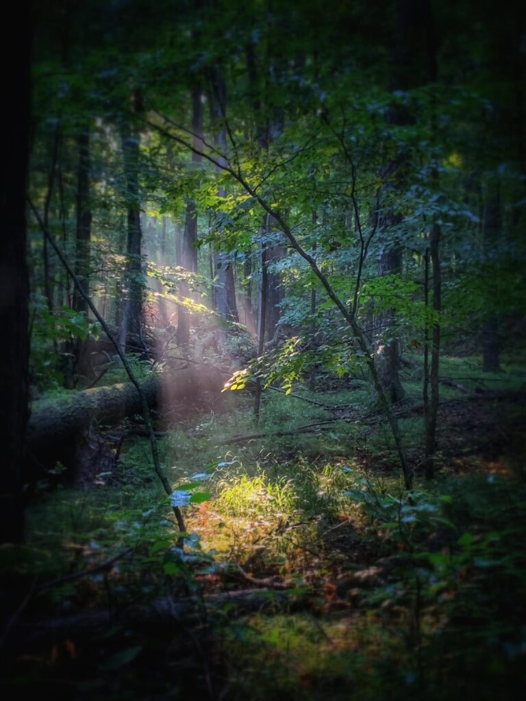 We’ve had a pretty rough winter - dark, tons of snow and record breaking cold & I’m more than ready for my summer sunrise hikes