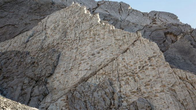 Researchers uncovered one of the most significant dinosaur footprint sites