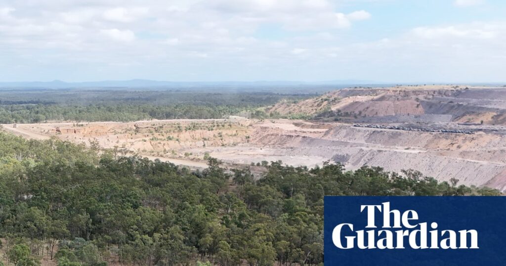 What the Albanese government did on the environment amid the Liberals’ turmoil: threatened species, a new coal project and carbon leakage | Climate crisis