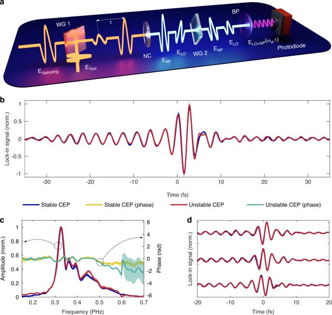Fieldoscopy at the quantum limit