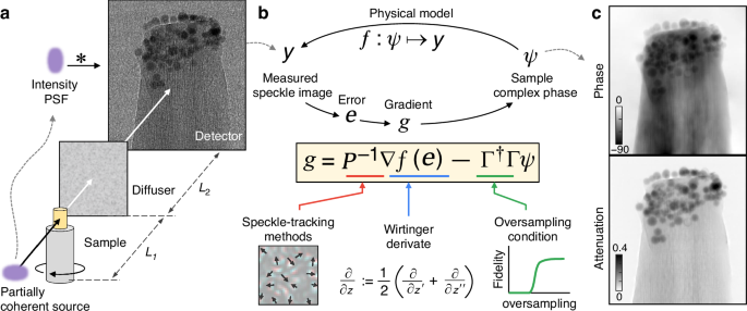 Speckle-based X-ray microtomography via preconditioned Wirtinger flow