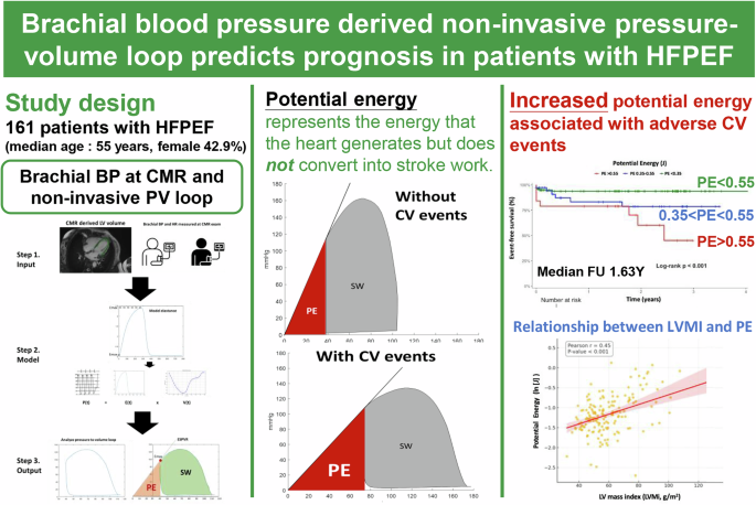 Prognostic value of potential energy derived from noninvasive pressure–volume loop analysis in heart failure with preserved ejection fraction