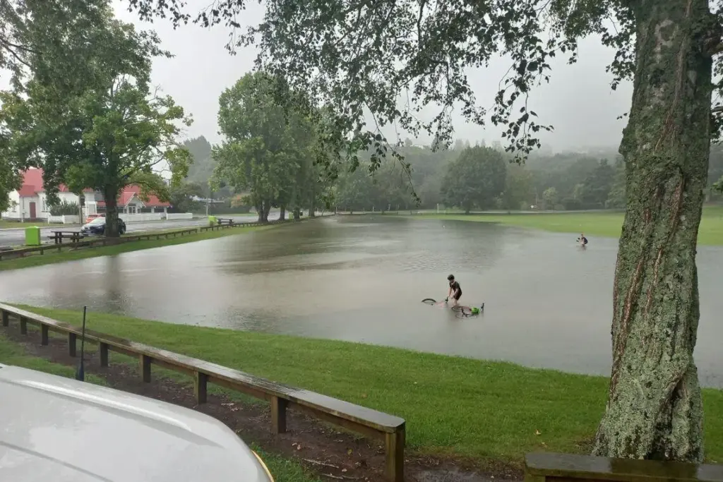 Subscribe Placeholder