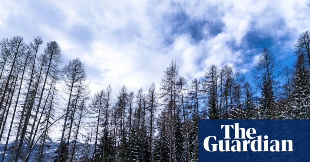 The Great Olympic lie: untold story of Winter Games’ huge environmental impact | Winter Olympics 2026