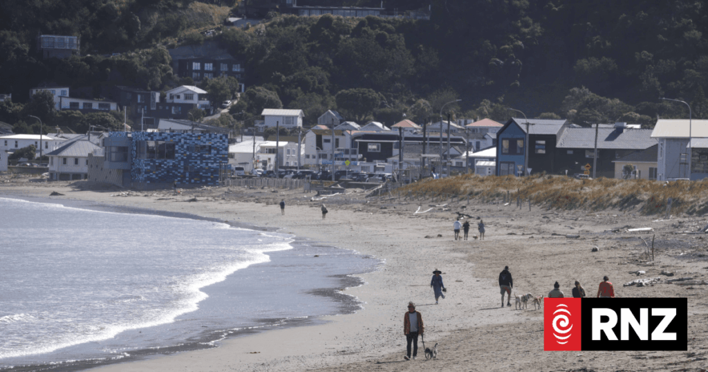Overseas experts flown in to assess damage at Moa Point wastewater treatment plant