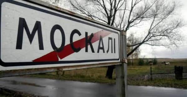 NATO estimates Russian casualties on the front line