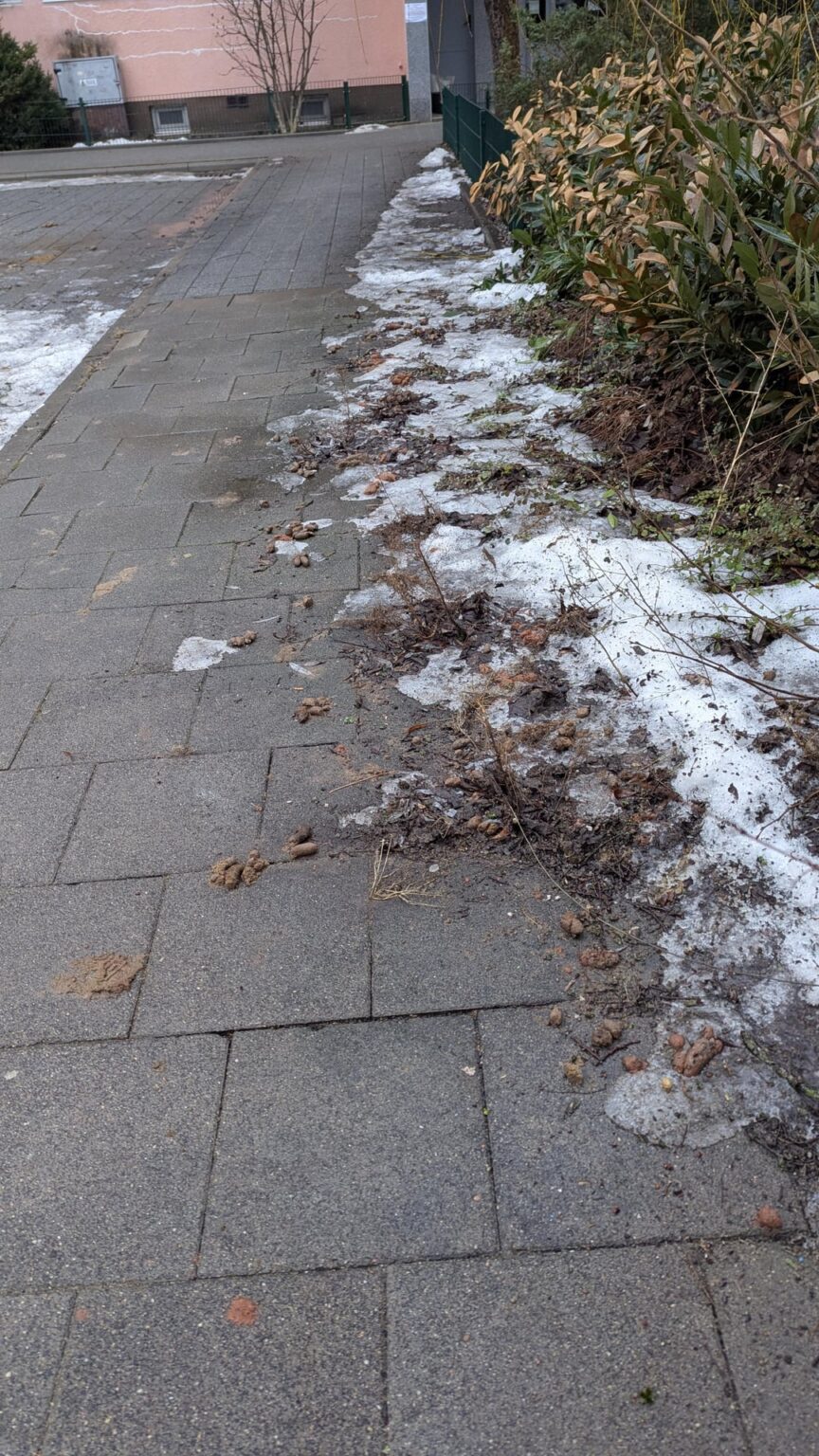 Beautiful views in the capital after the thaw