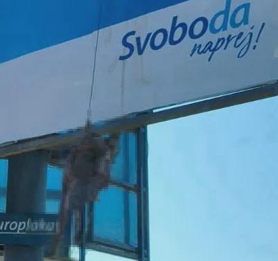 An animal corpse was hung on Svoboda's election poster, it was supposed to be a dog