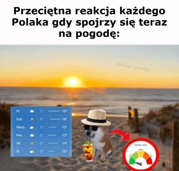 Mem