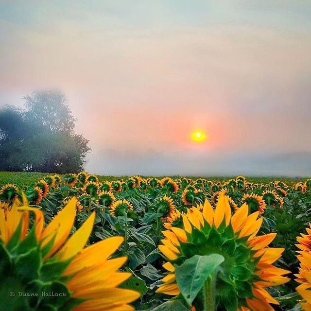 Pov: Estonians in winter when the sun is shining