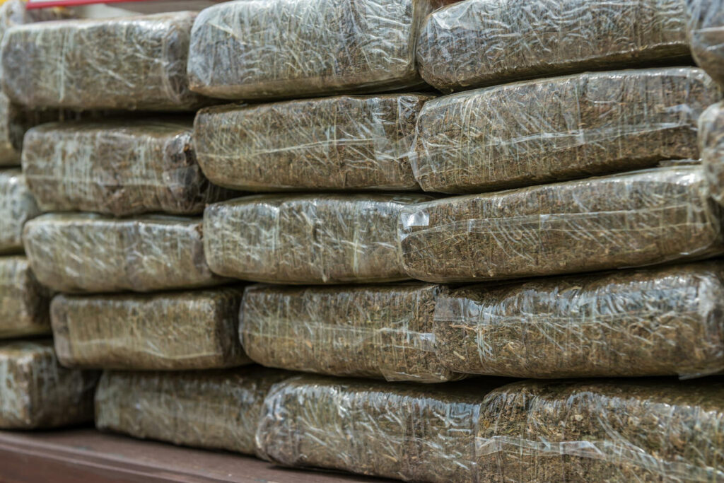 Marijuana seized in Macedonia leads to the family of former Prime Minister Zaev?