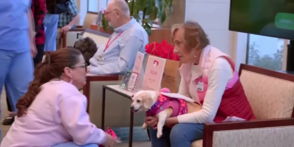 Dogs visit workers for ‘Heart-Healthy’ break in West Columbia