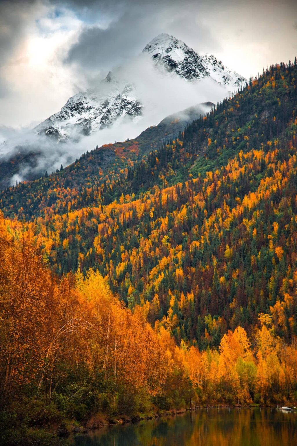 Snow capped mountains and fall foliage in Alaska.