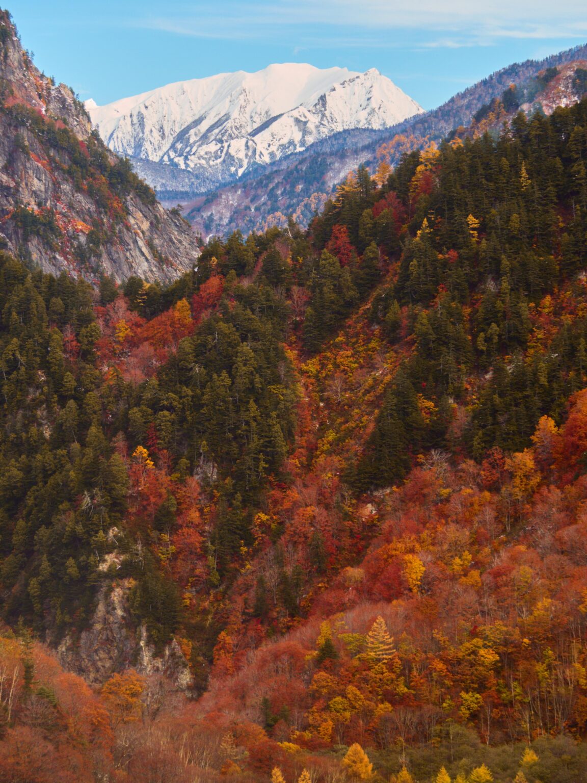 Layers of autumn in the Japanese Alps
