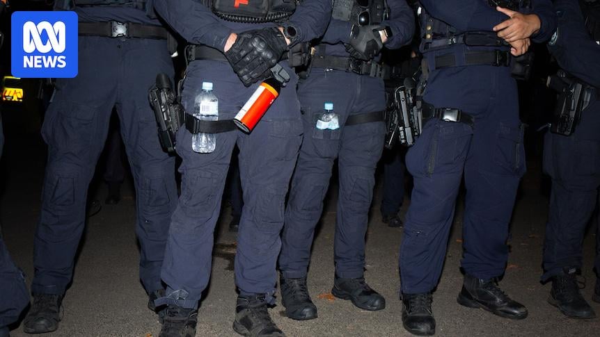 Increased use of pepper spray, police weapons at protests alarm rights groups