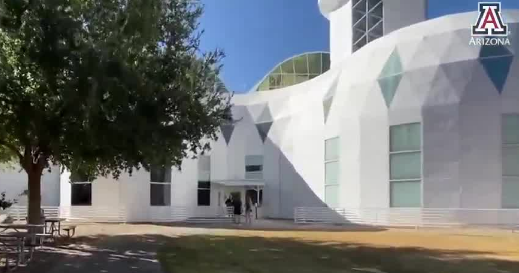 U of A's Biosphere 2 hosts coral climate resilience study | News