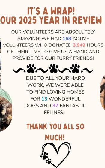 Flyer from RAWL featuring snapshots of dogs and cats. Flyer reads “ It’s a wrap! Our 2025 year in review | Our volunteers are absolutely amazing. We had 168 avtive volunteers who donated 3,949 hours of their time to give us a hand and provide for our furry friends | Due to all your hard work, we were able to find loving homes for 13 wonderful and 37 fantastic felines. Thank you all so much!