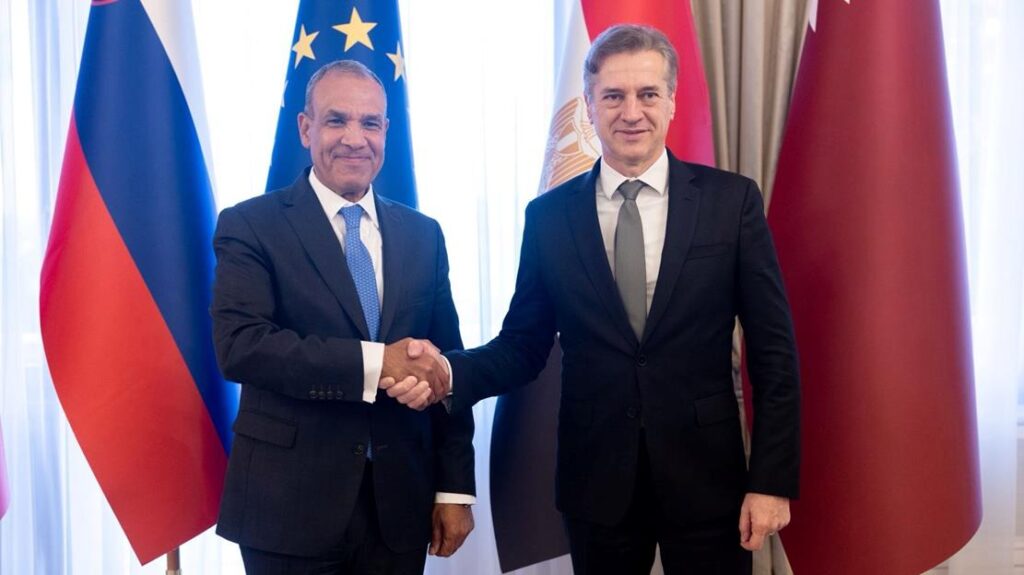 Foreign Minister meets with Prime Minister of Slovenia