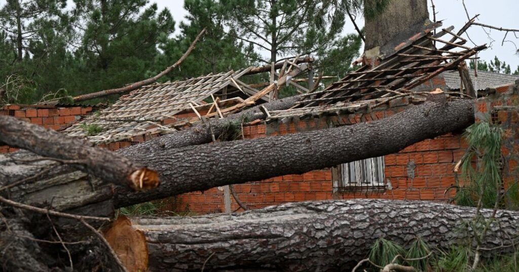 Panic as tourist hotspot in Spain hit by mass evacuations | World | News