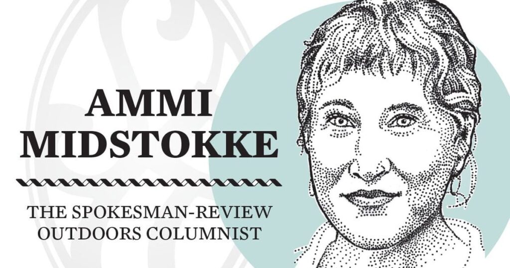 Finding your ideal winter sport