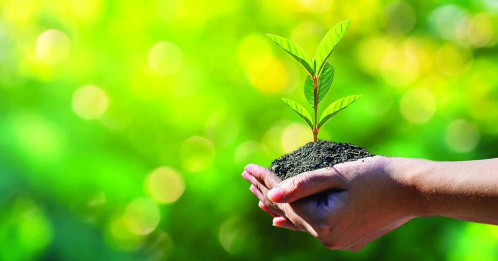 Simple steps to protect the environment |