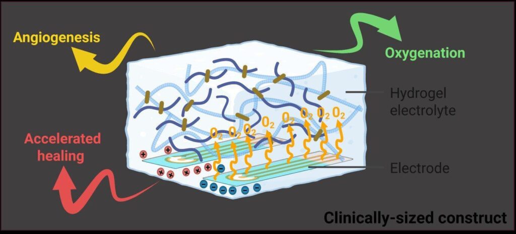 Bio-foam! Electrified gel developed to heal chronic wounds