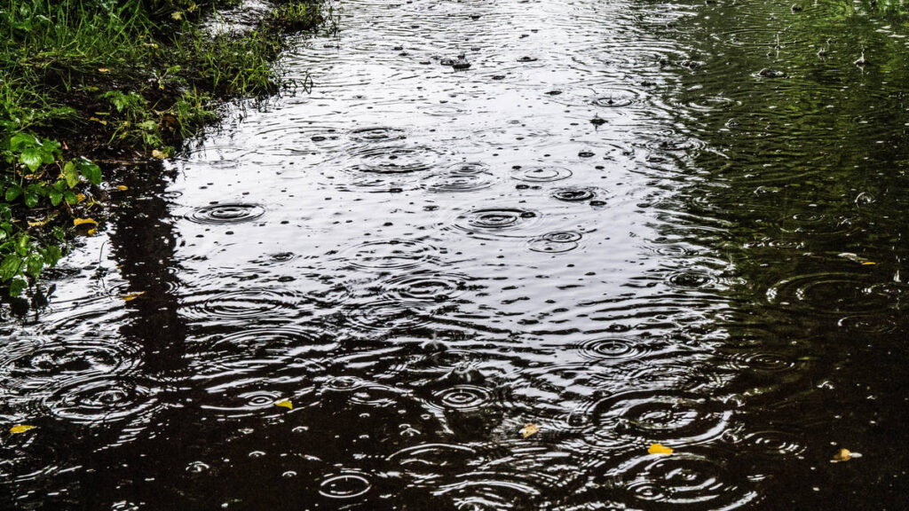 France set for wet and windy week
