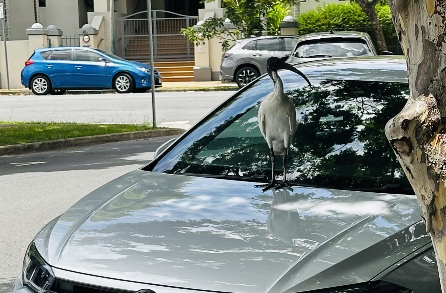 Your Uber is here