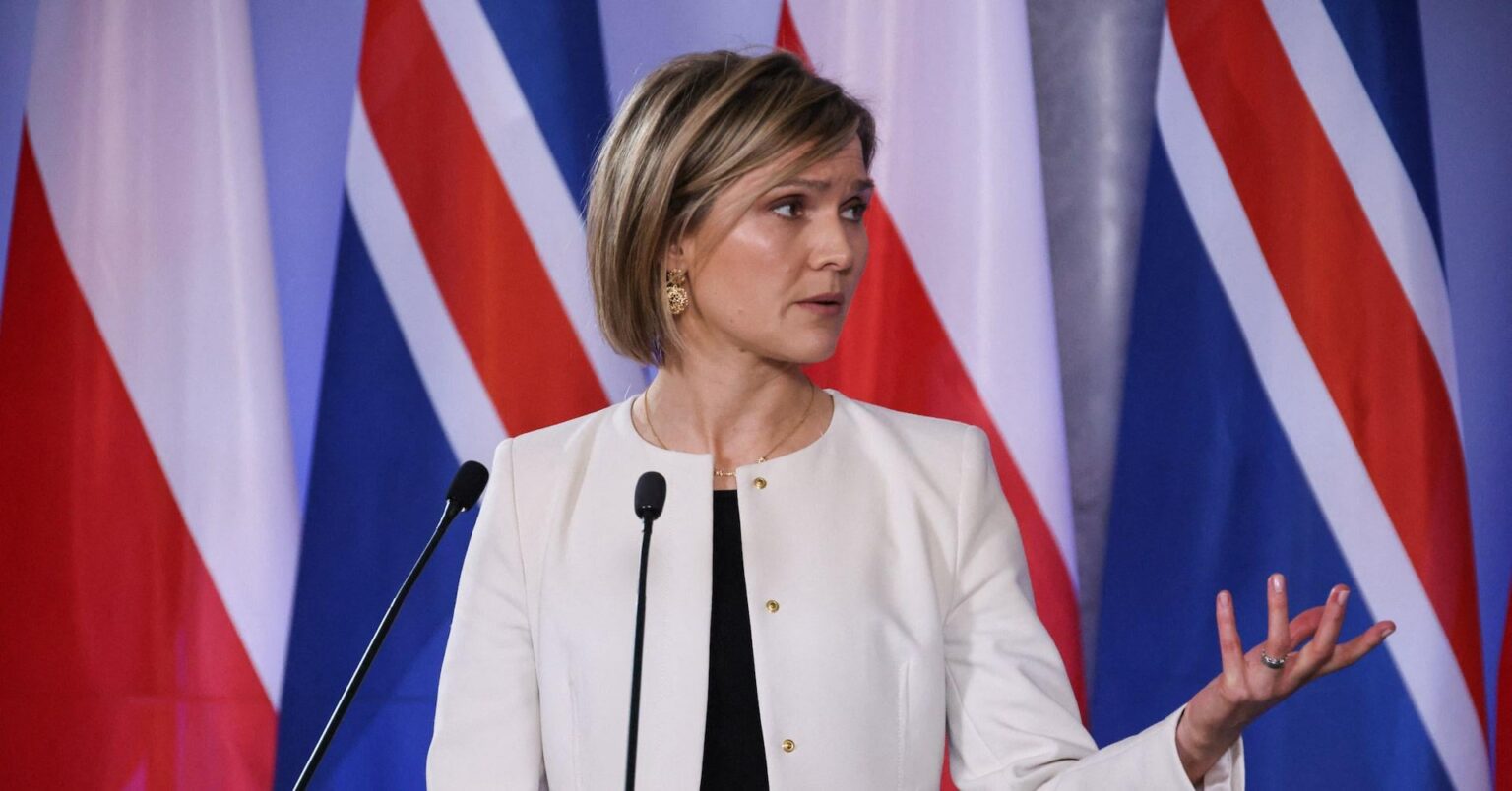 Iceland to hold EU referendum 'in the coming months', PM says