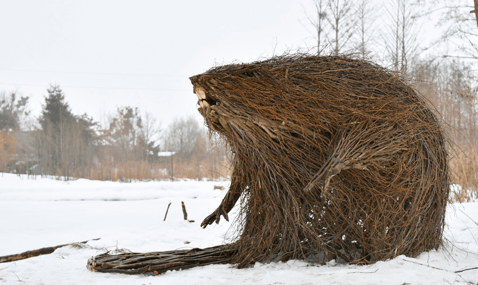 "Fucking beaver, what a beast!"