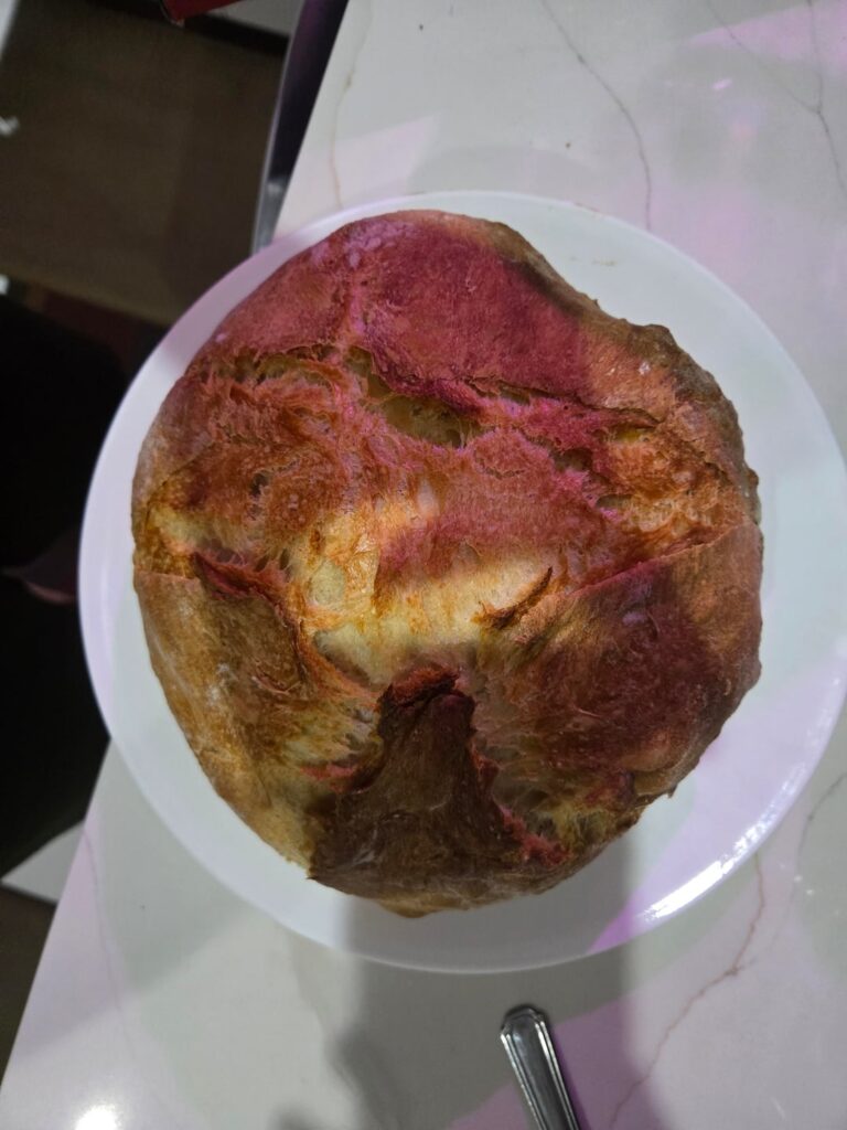 questions about the appearance of my Alentejo bread